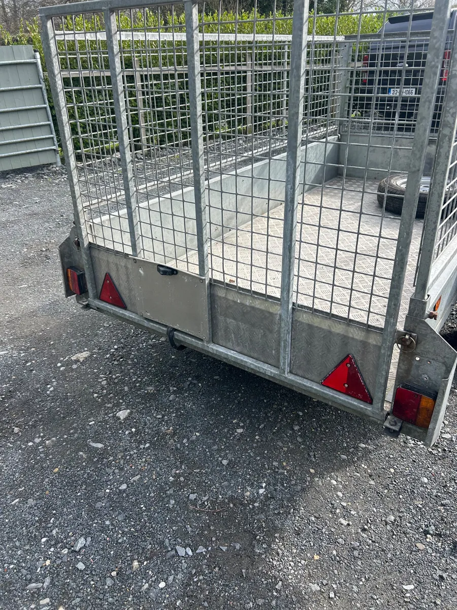 8x4 Single Axle Trailer with Mesh and Ramp - Image 4