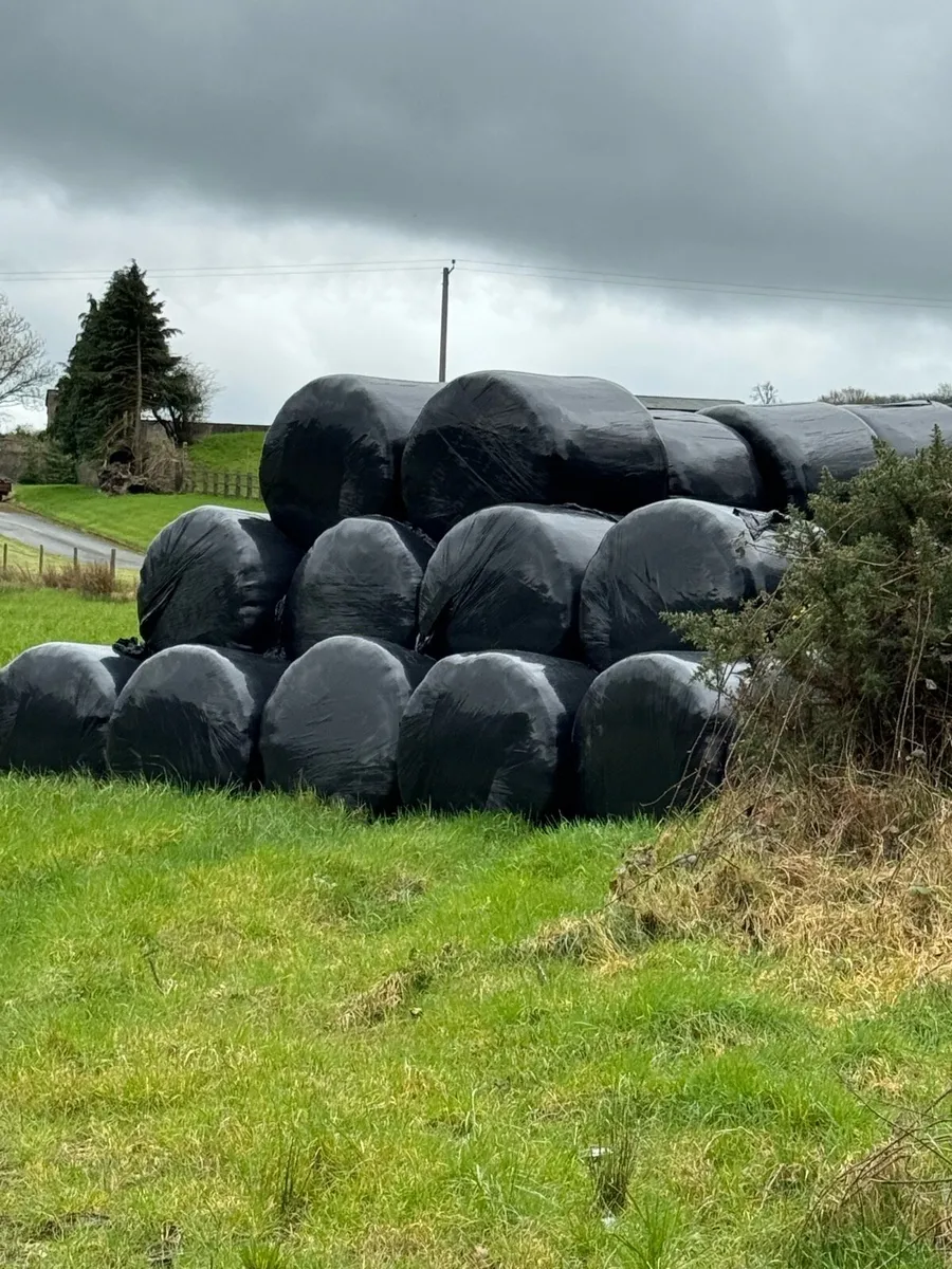 Silage bales