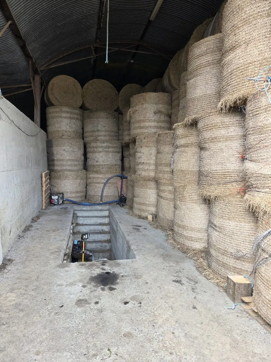 Top Quality Hay For Sale