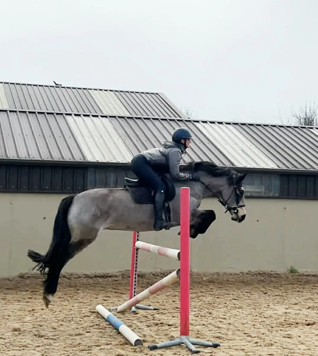 SUPER JUMPING PONY - Image 2