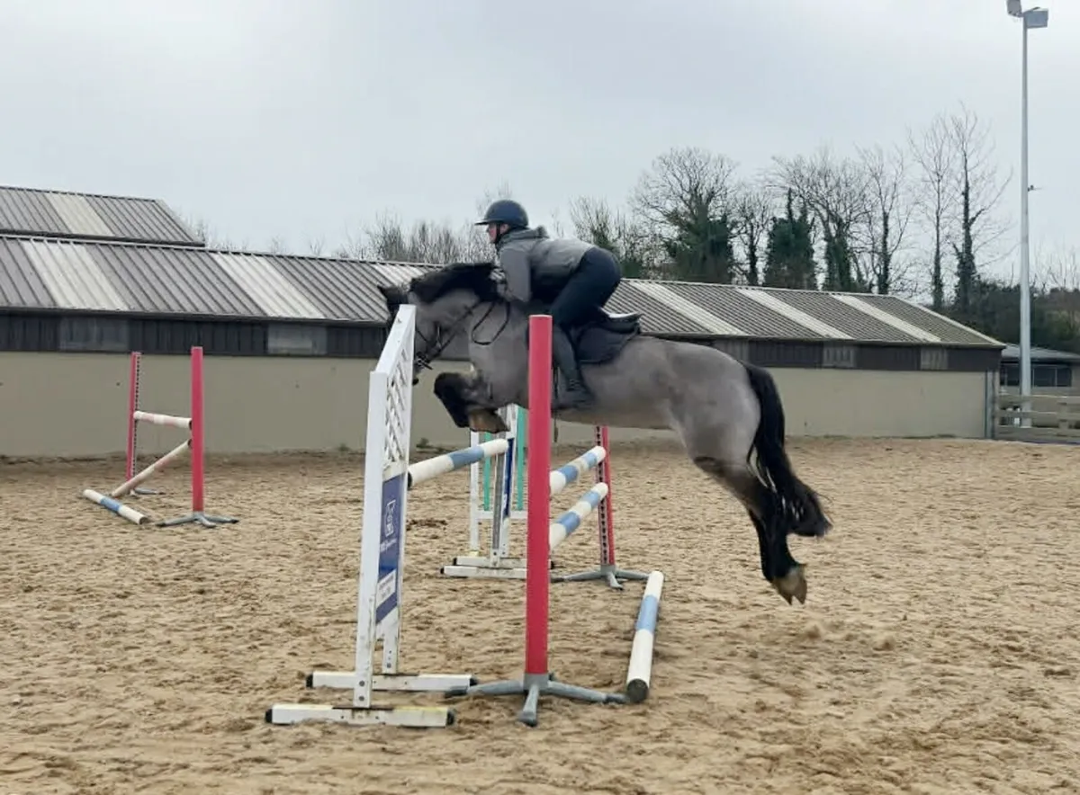 SUPER JUMPING PONY - Image 1