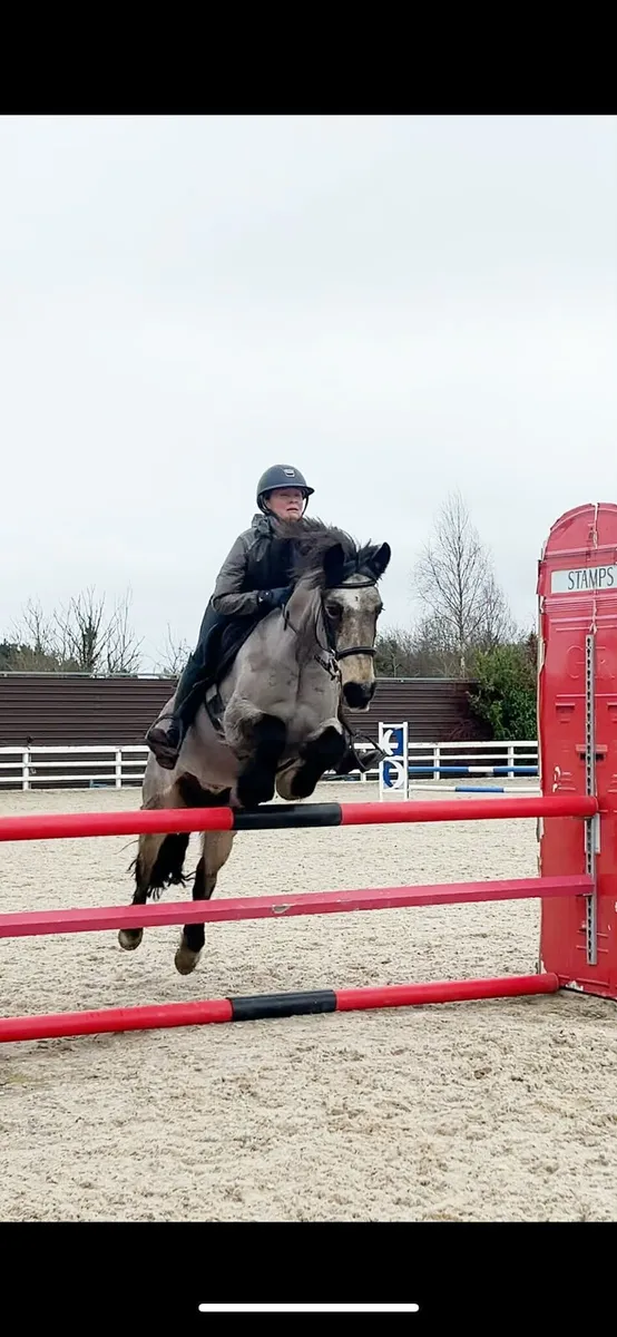 SUPER JUMPING PONY - Image 3