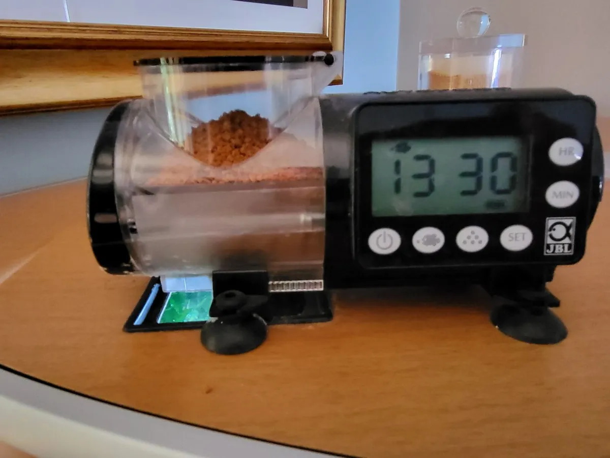 Corner Fish tank - Image 2