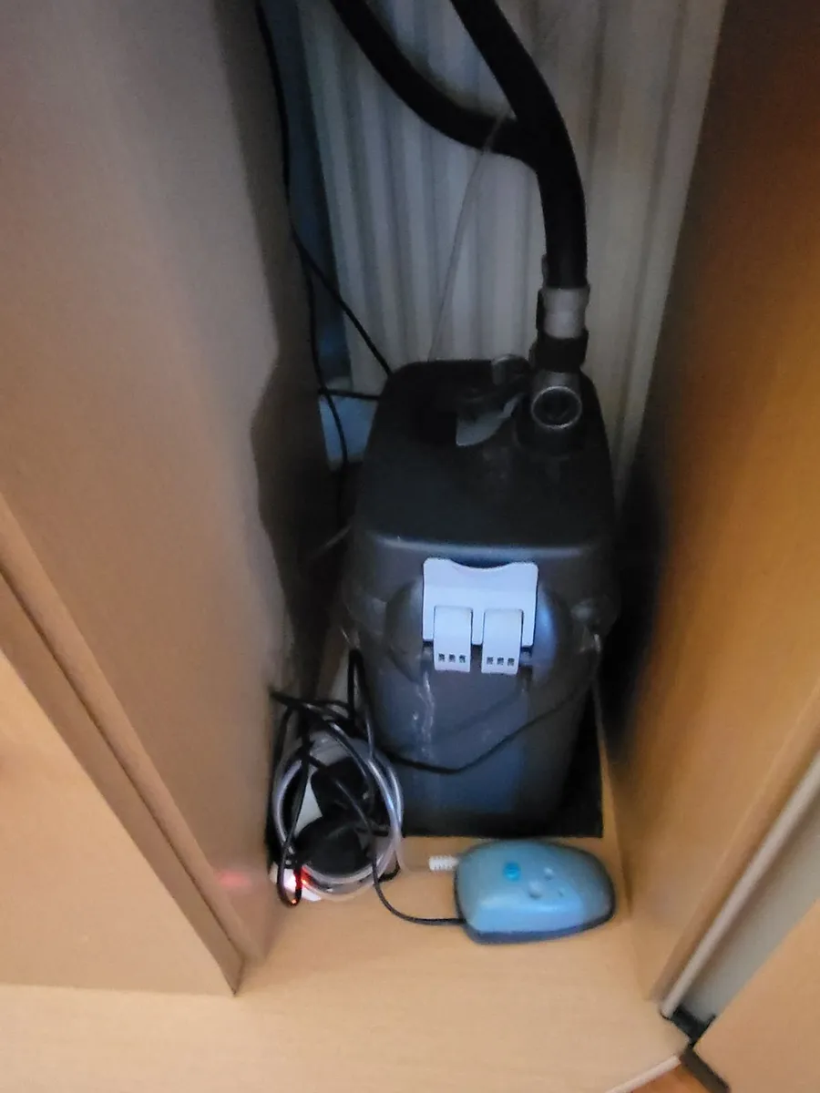 Corner Fish tank - Image 3