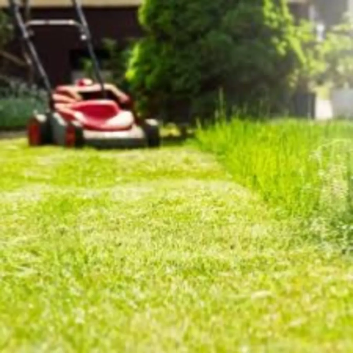 Anyone in Longford want there grass cut WhatsApp m