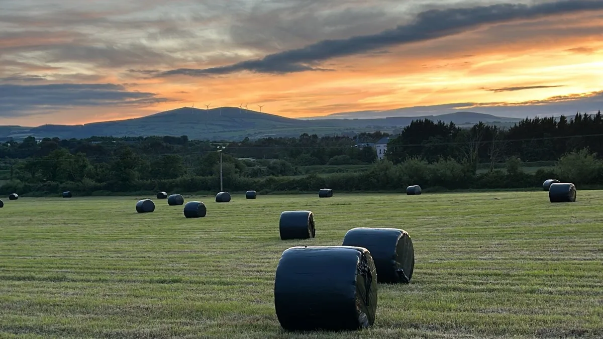 Silage bales - Image 1