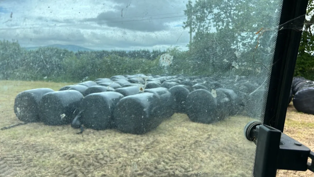 Silage bales - Image 2