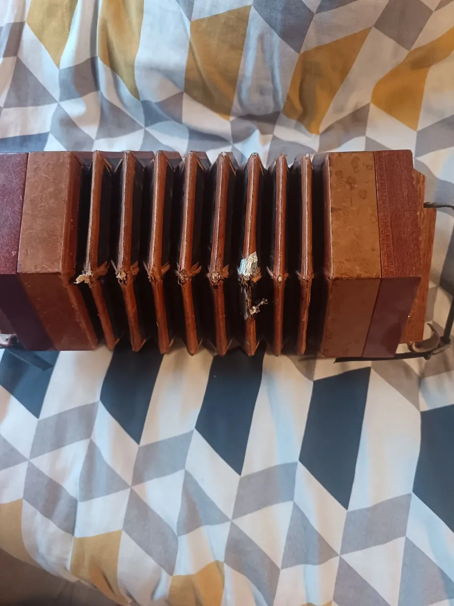 Hohnor concertina - Image 1