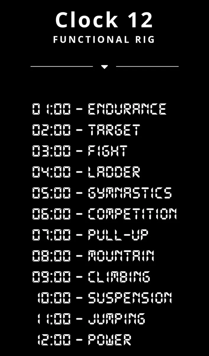 Clock 12 Functional Rig – Commercial Gym Rig - Image 2