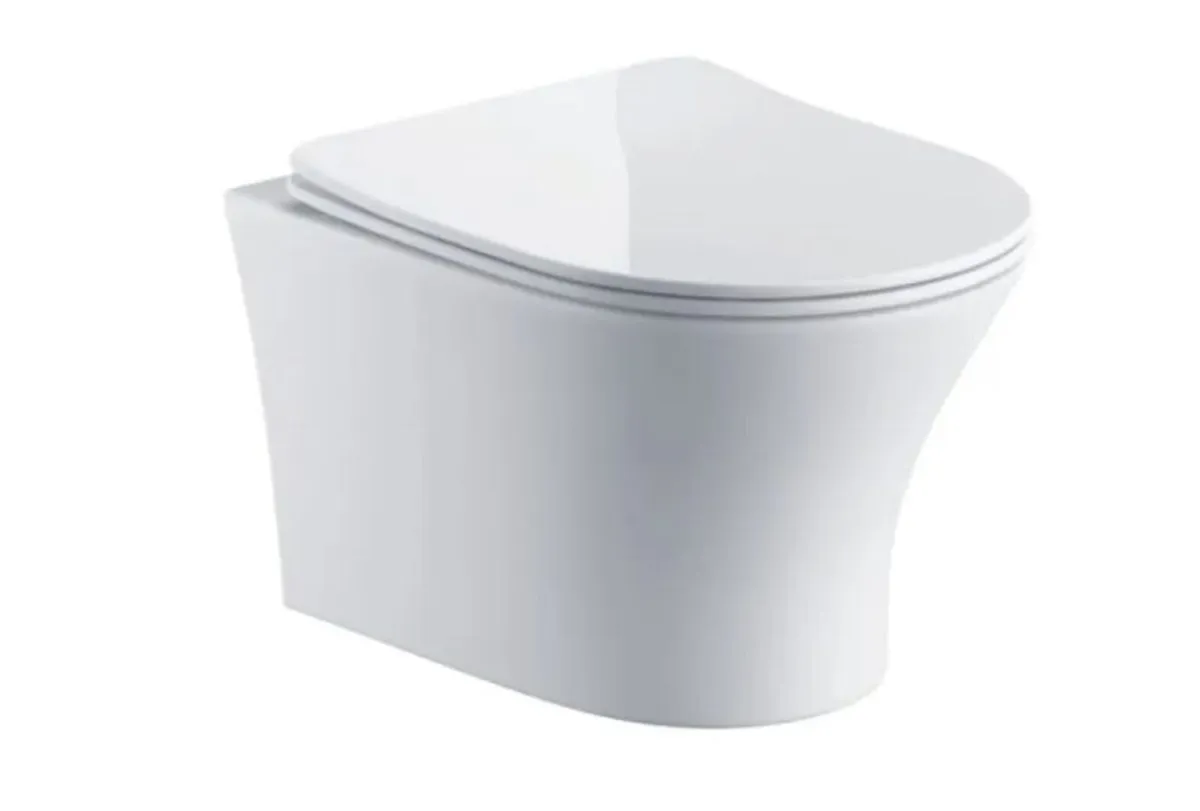 Wall Hung Toilet & SAN85 1.1m Wall Hung WC Frame - Image 2