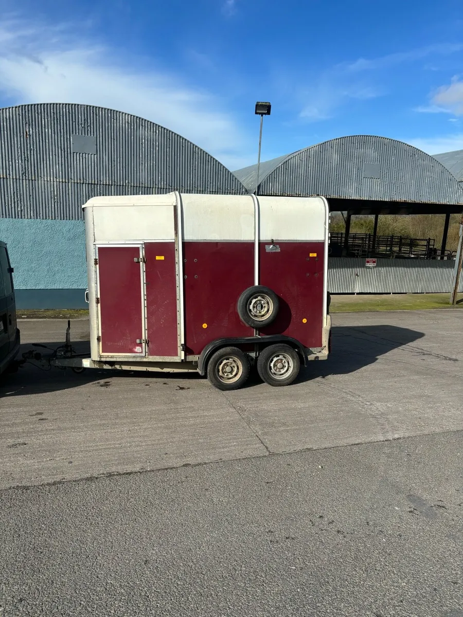 505 horsebox - Image 4