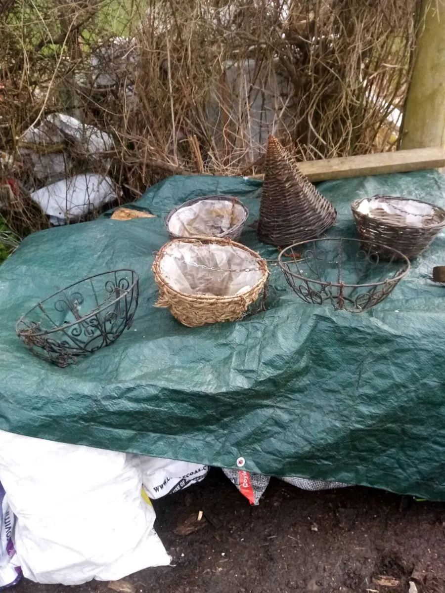 Hanging baskets - Image 1