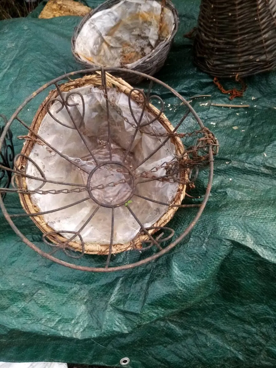 Hanging baskets - Image 3