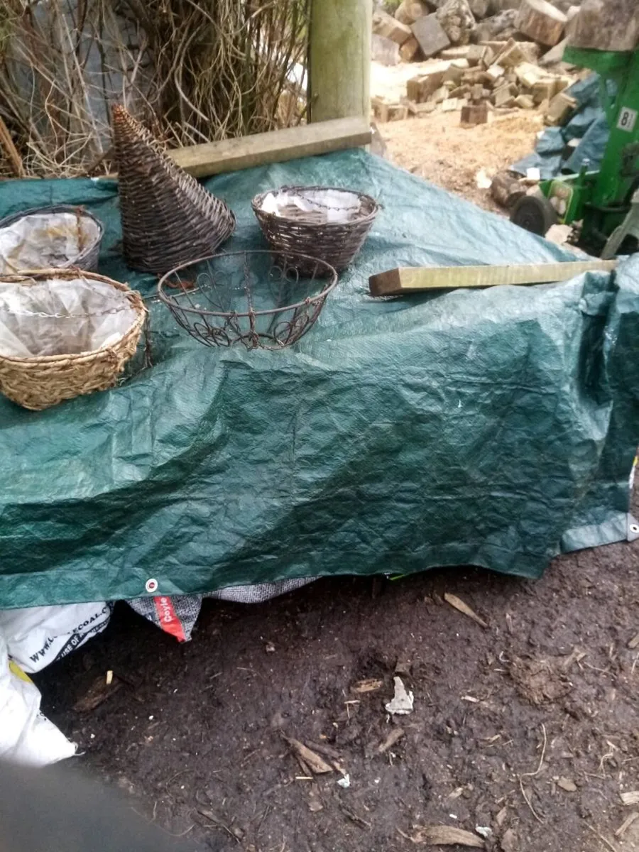 Hanging baskets - Image 2