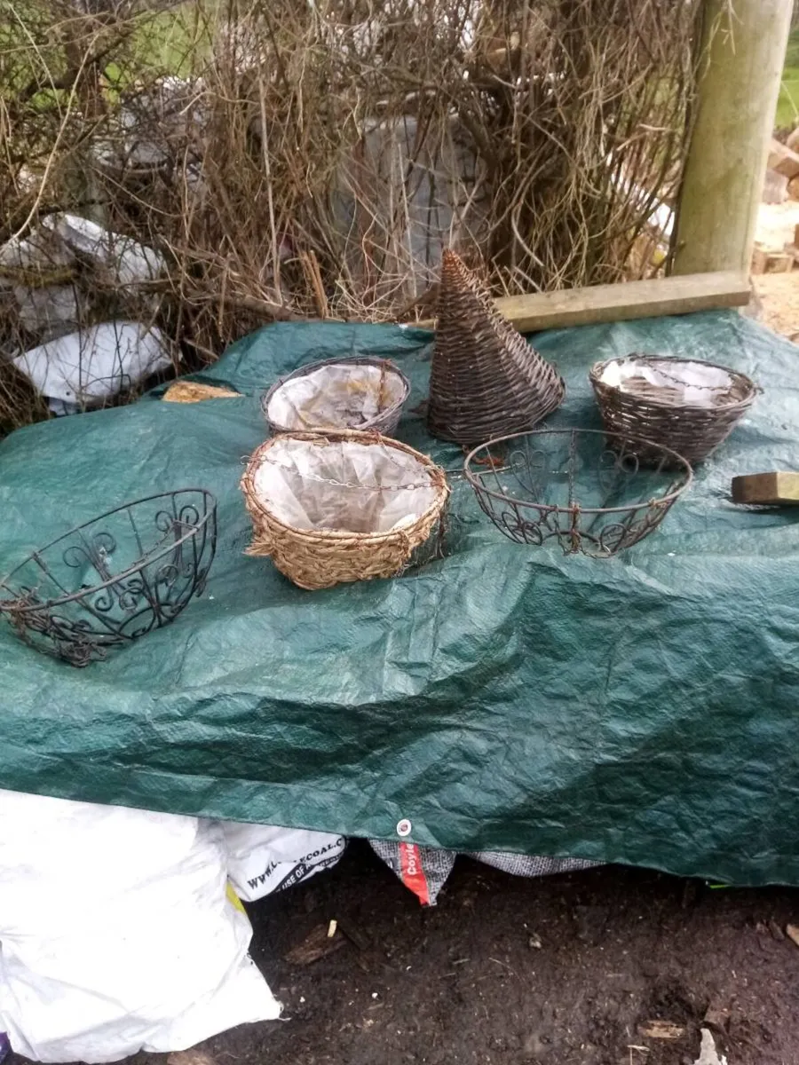 Hanging baskets - Image 4