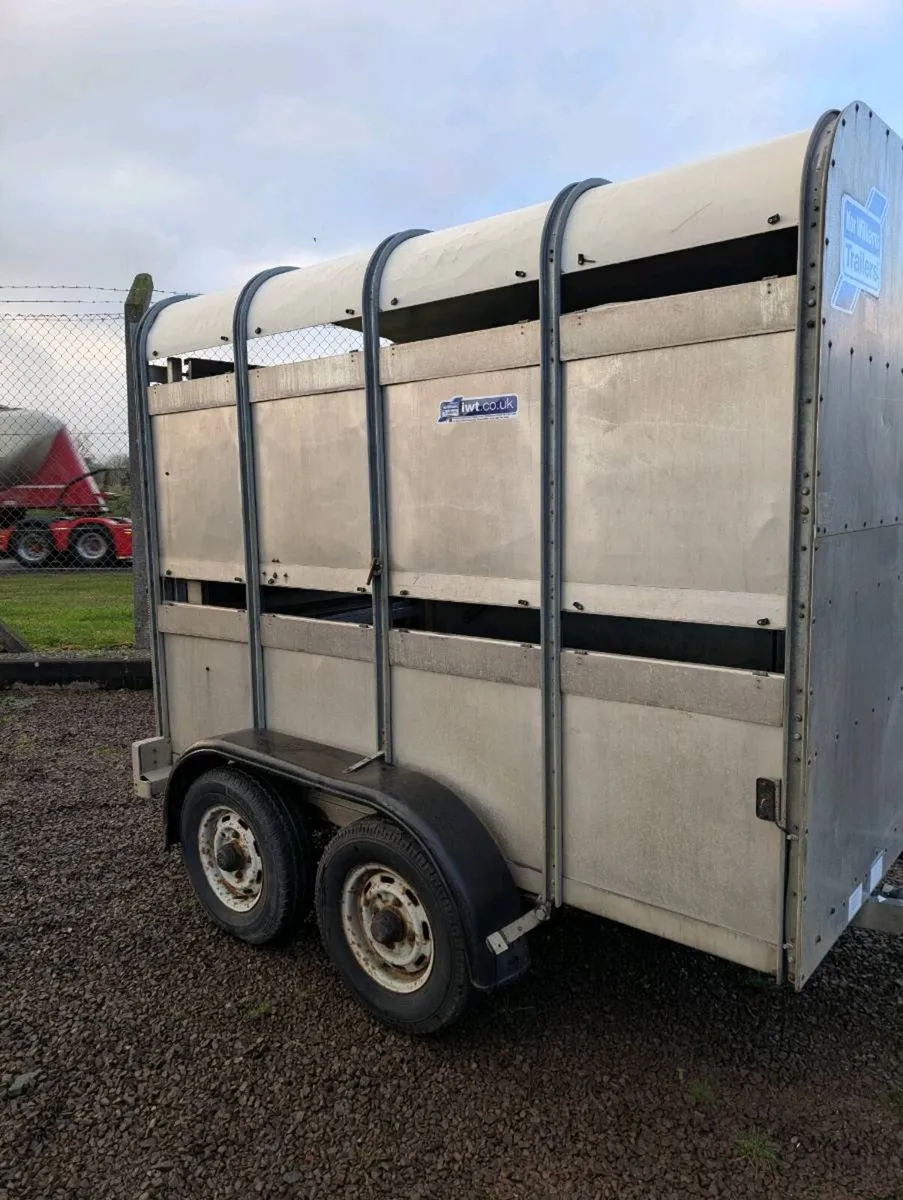 Ifor Williams 8'x5' (Sheep Decks) - Image 2