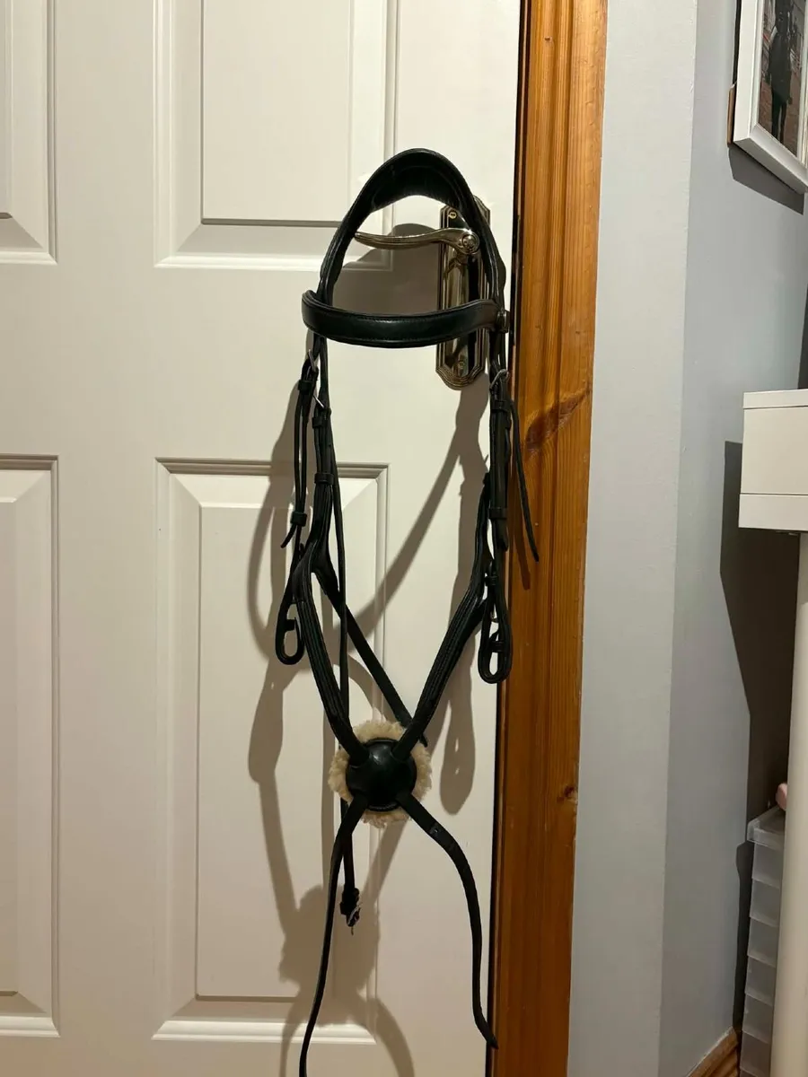 Bridle - Image 1