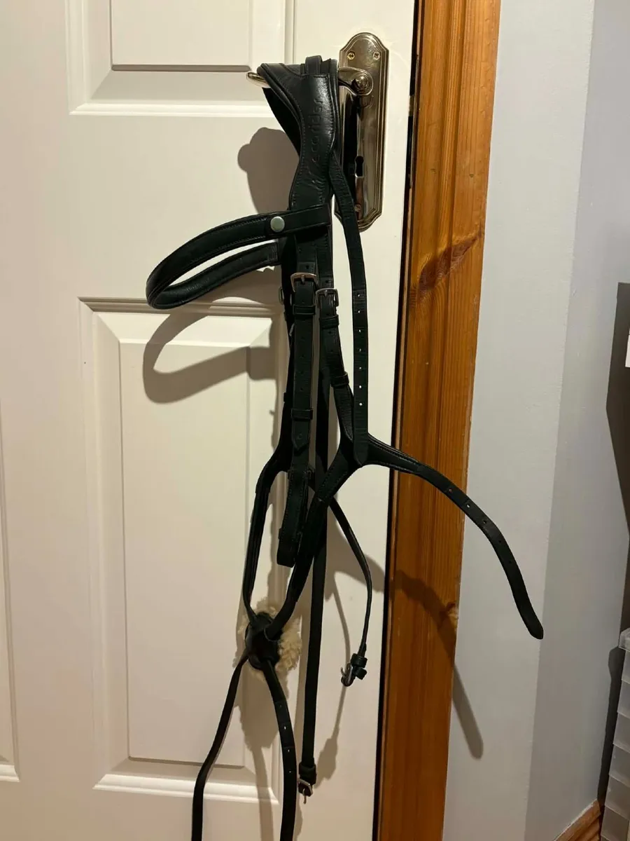 Bridle - Image 3