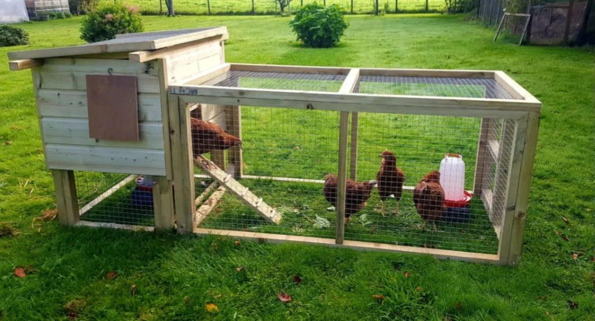 Chicken Coops. - Image 1