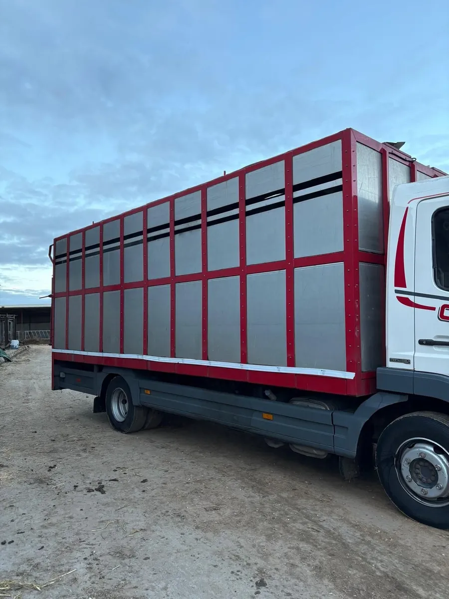 Mercedes-Benz Other 2013 - Image 4