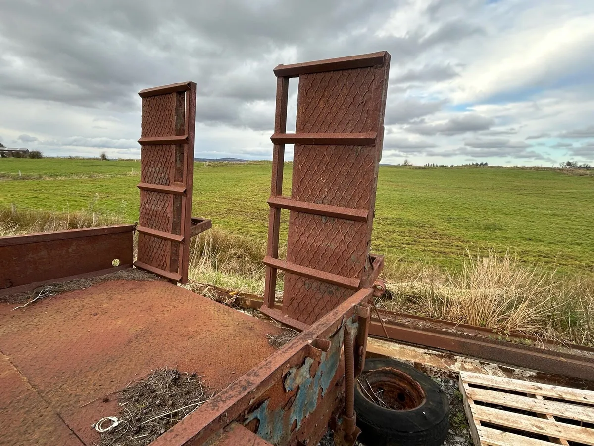 Plant/digger trailer - Image 4