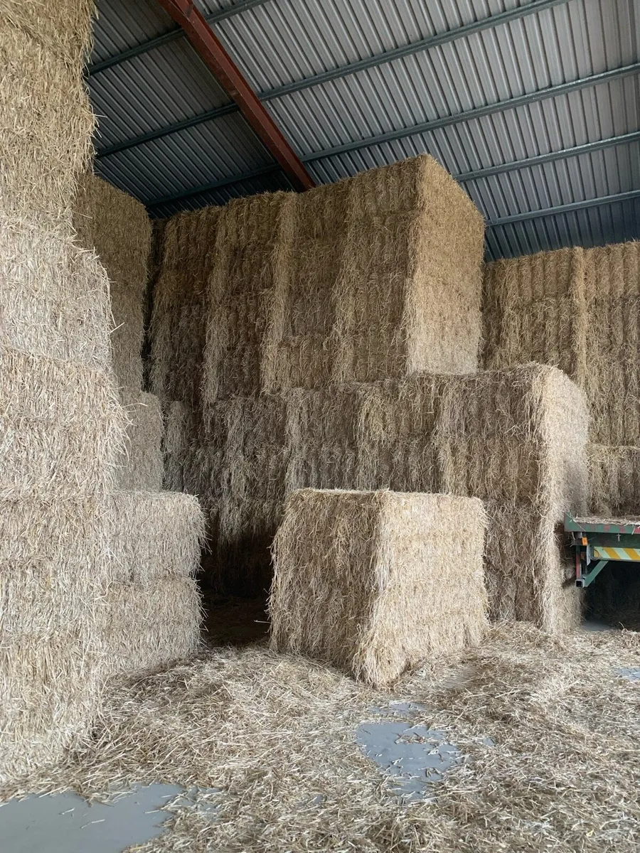 Wheaten & barley straw - Image 1