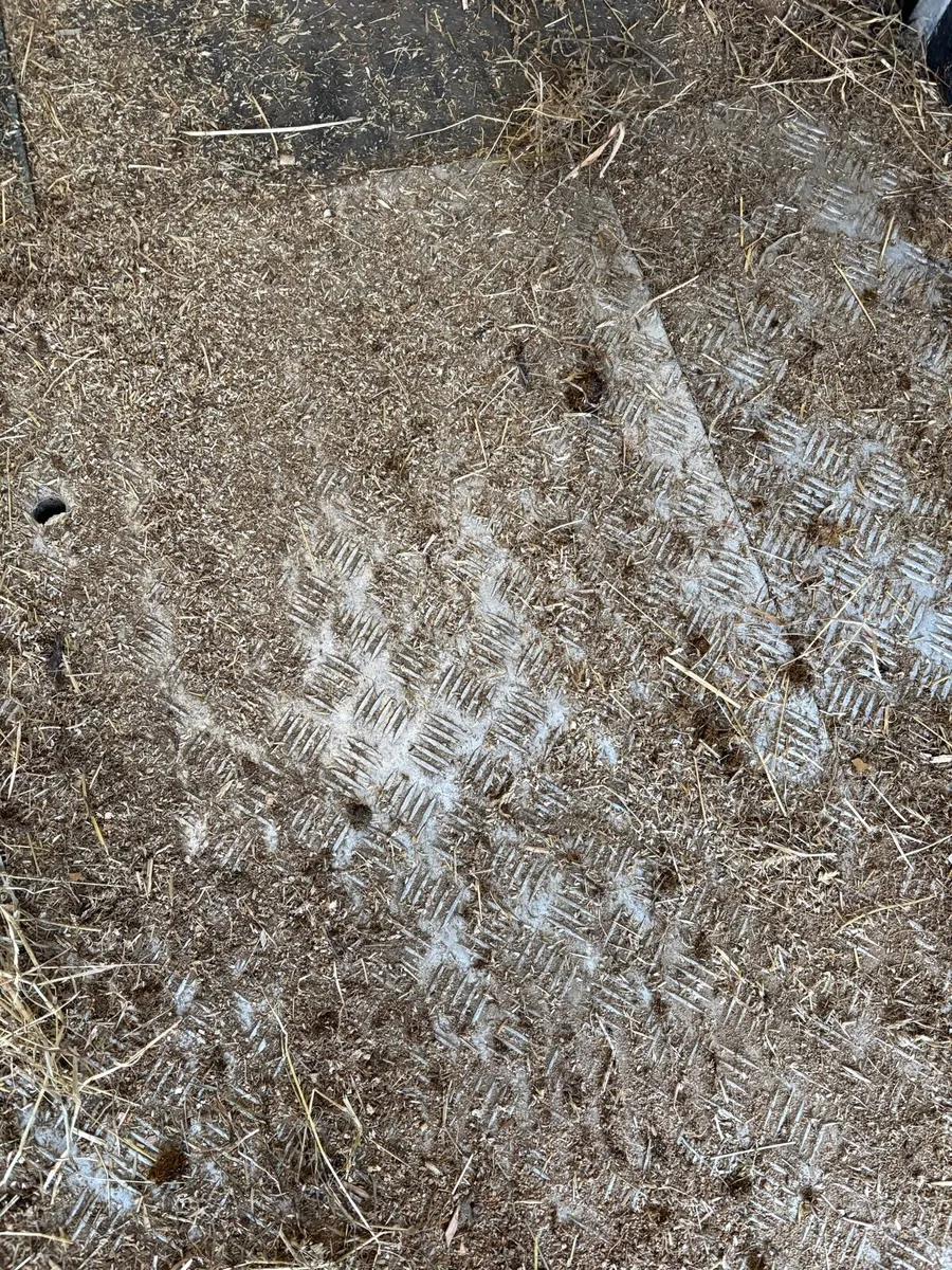 505 Ifor Williams - Image 4