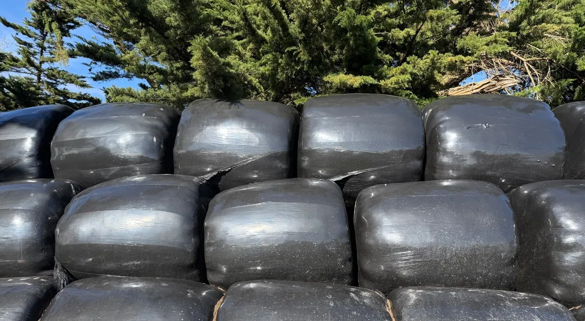 Silage Bales