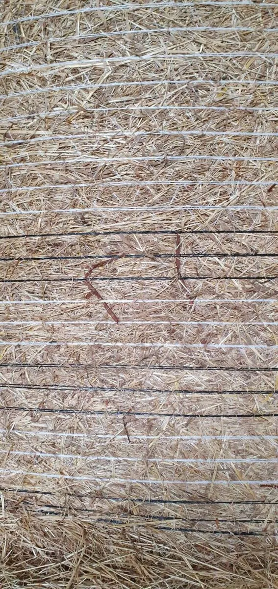 Quality Hay - Image 1