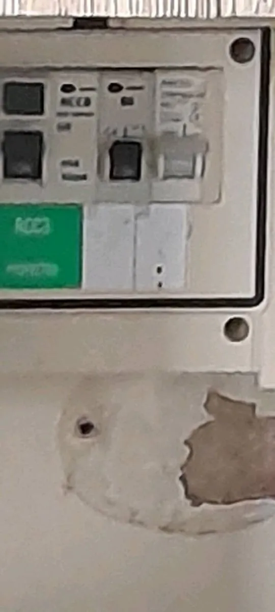 Catering Trailer - Image 4