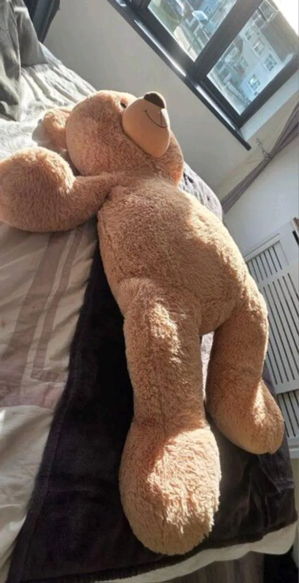 Large teddy bear fl - Image 2