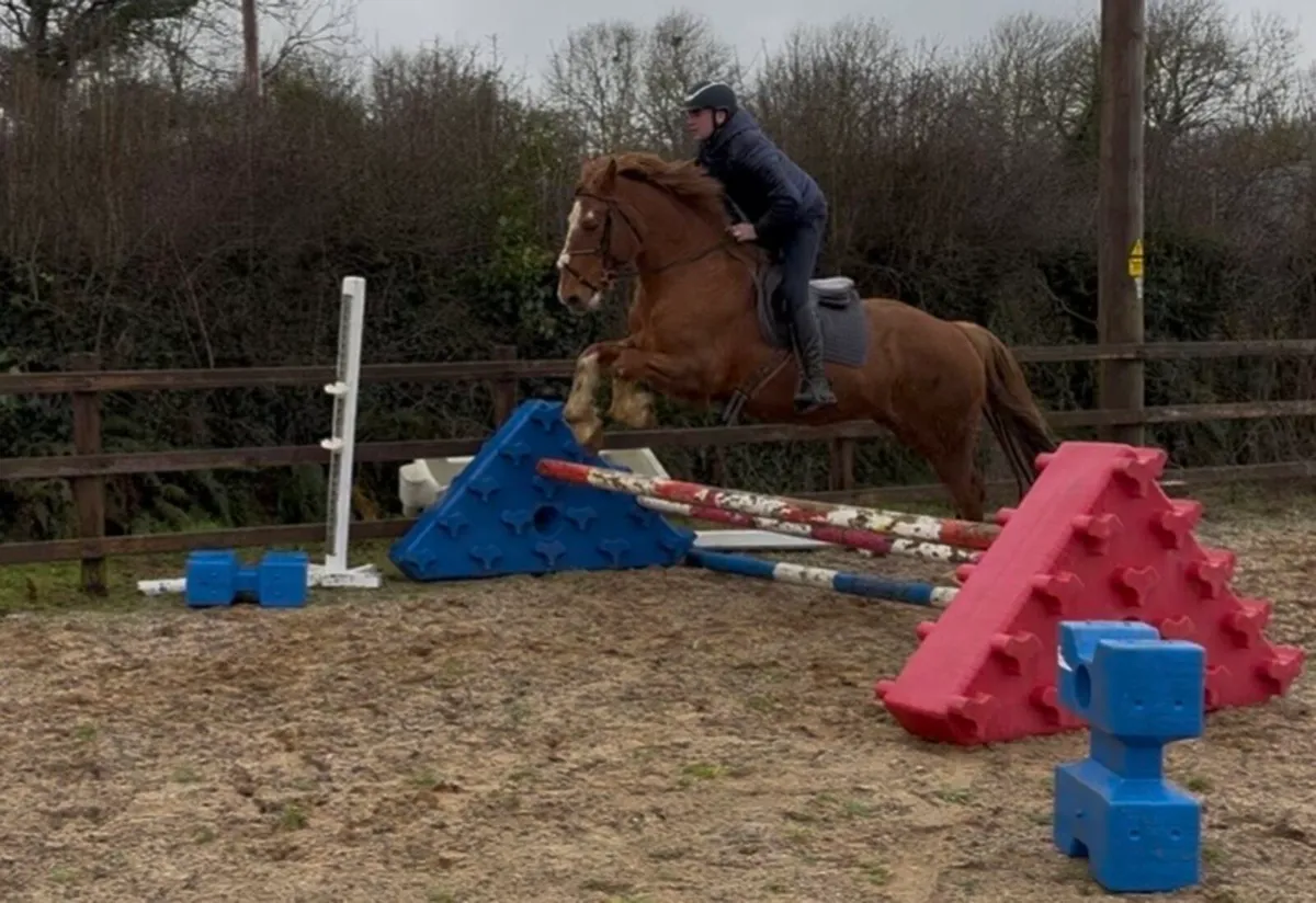 Super 15.2 allrounder - Image 3