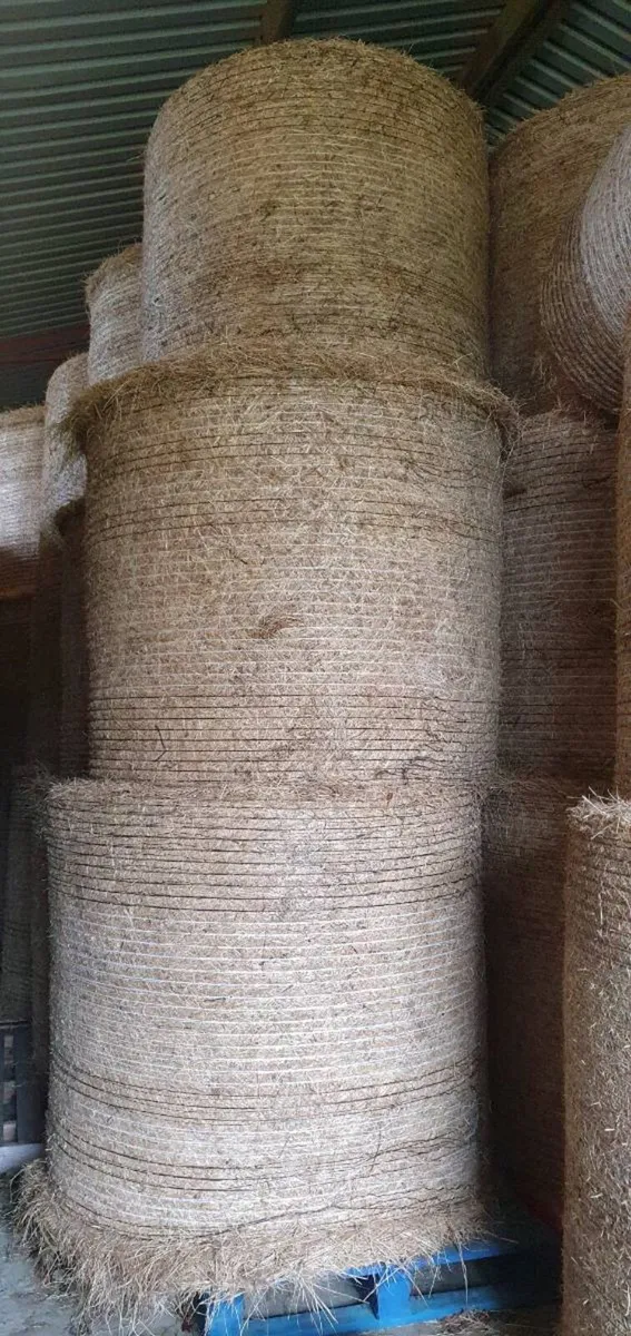 Quality Hay - Image 3