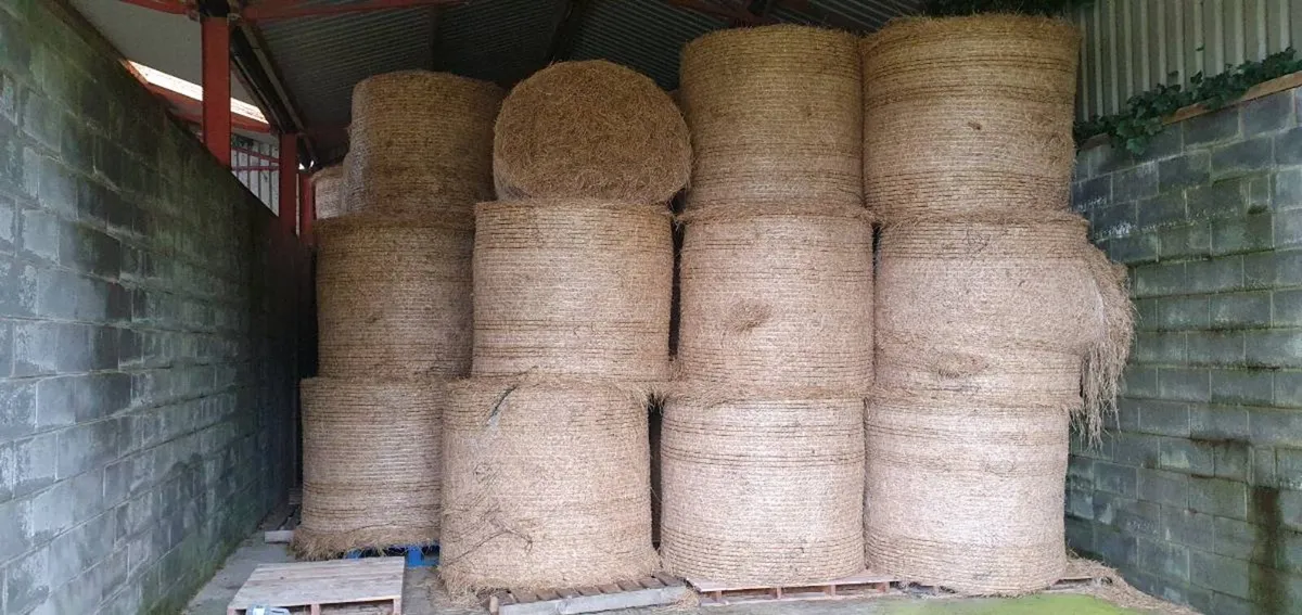 Quality Hay - Image 2
