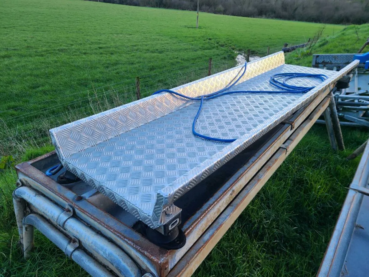 weighing platform for cattle - Image 1