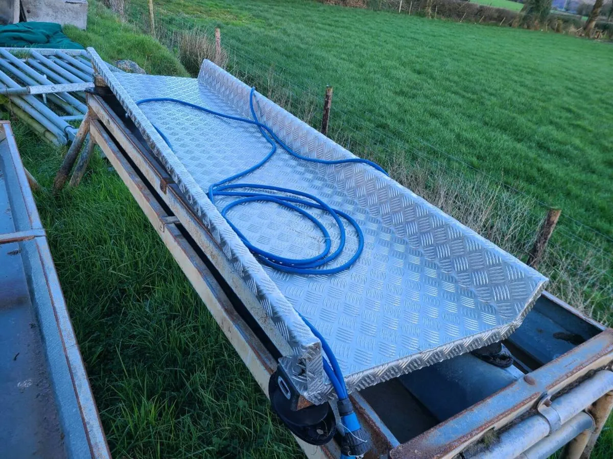 weighing platform for cattle - Image 3