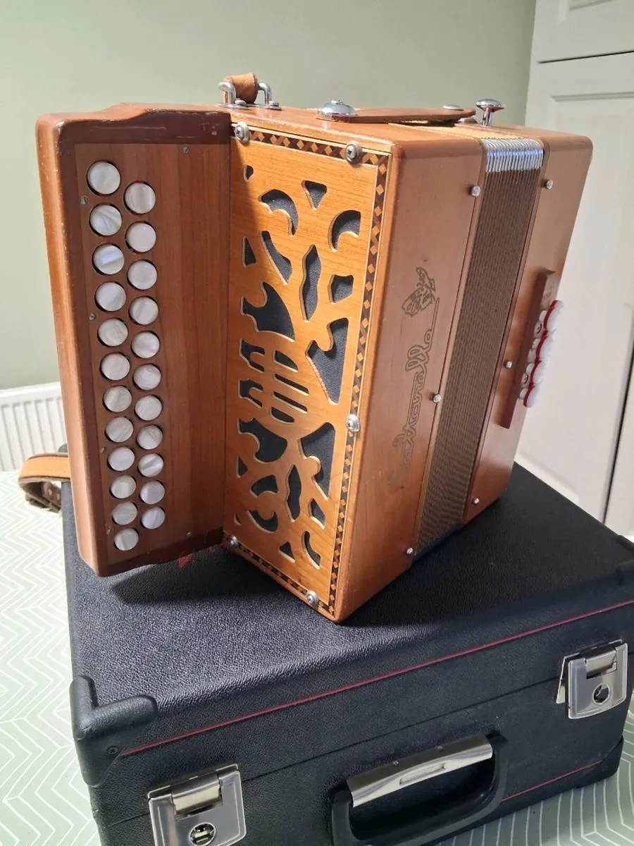 Accordion - Image 3