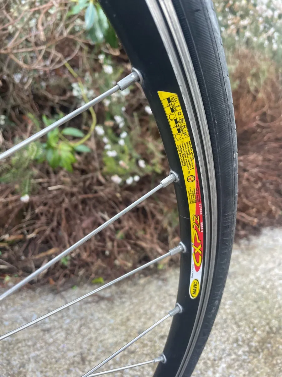 Giotto - 56cm M/L - Image 2