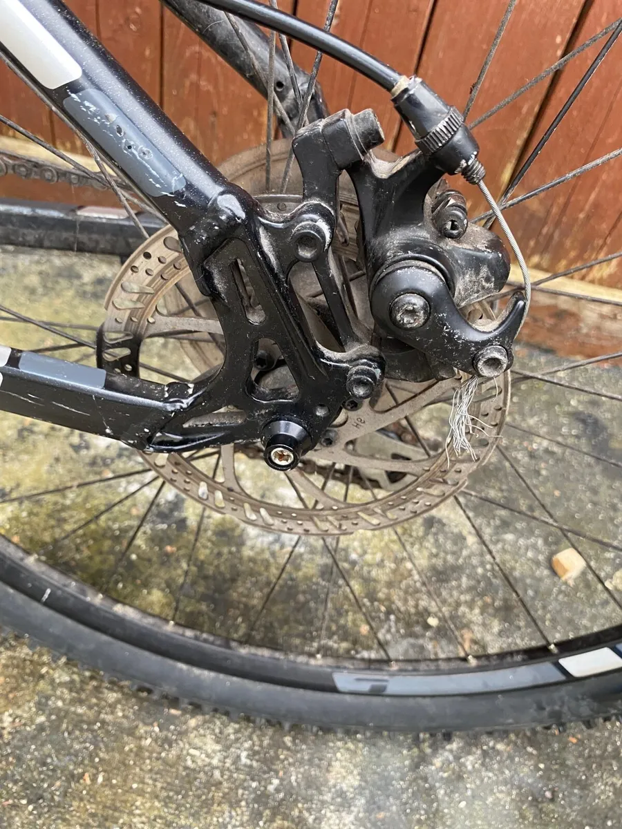 Carrera vengeance - Image 3