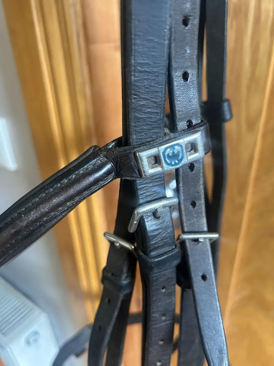 Stubben Bridle & reins - Image 2