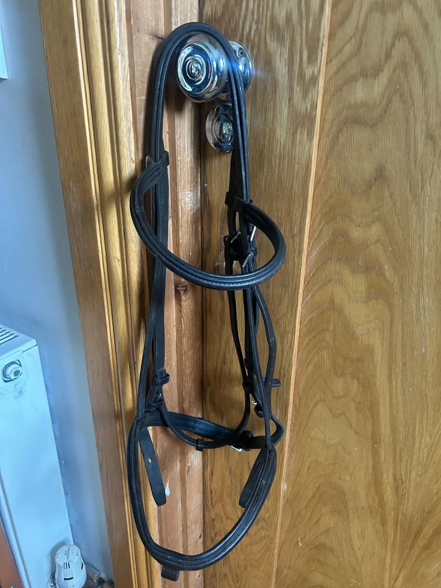 Stubben Bridle & reins - Image 1