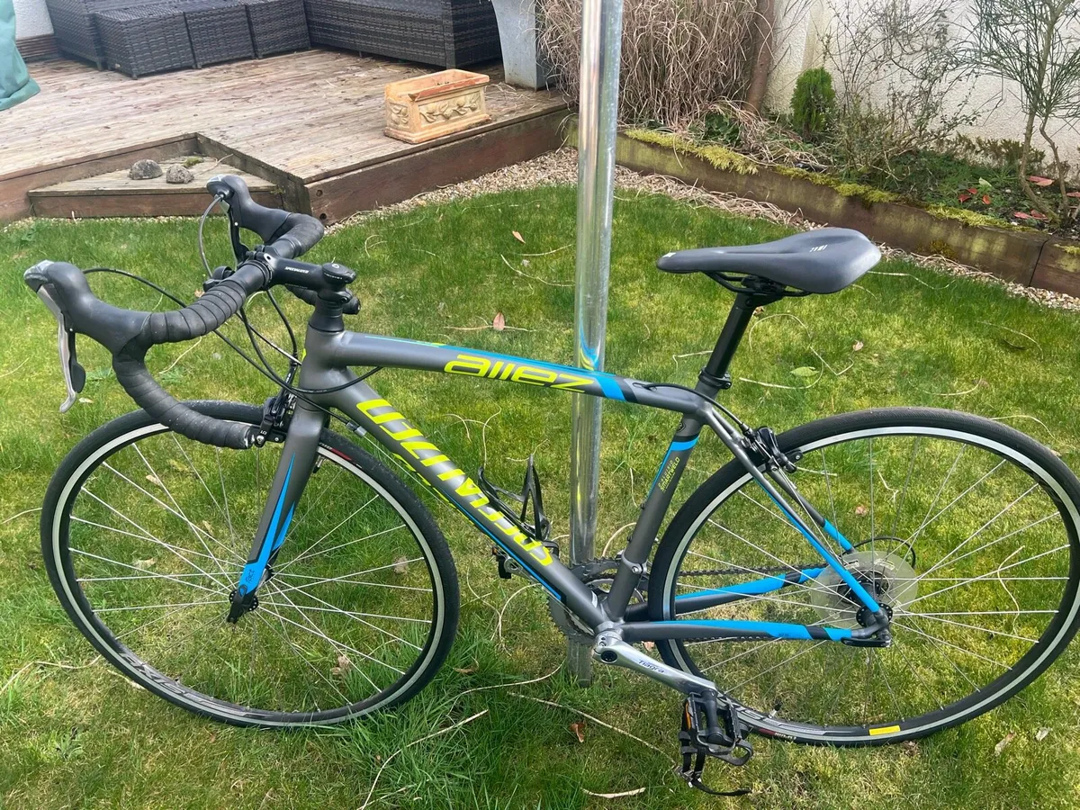 Specialized Road Bike 52 cm frame - Image 1