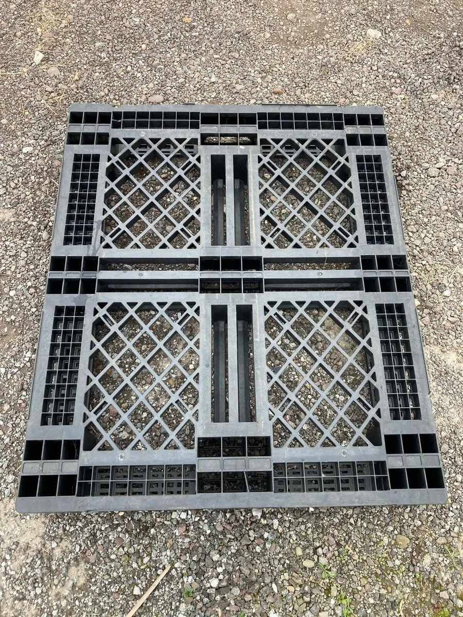 Plastic pallets - Image 2