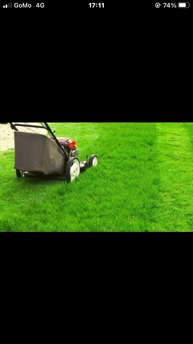 (Grass cutting) - Image 1