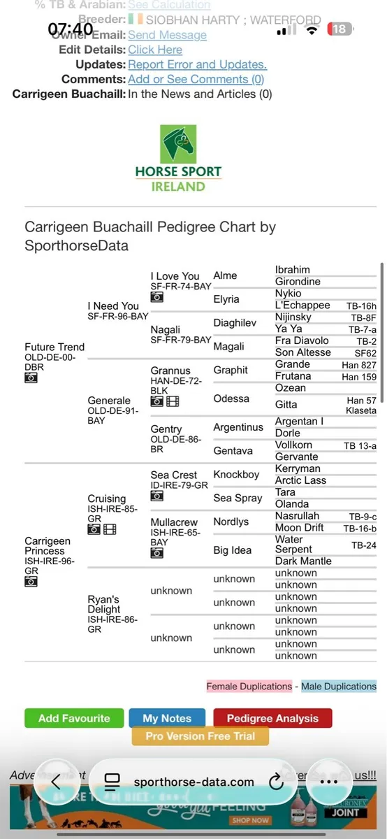 17h schoolmaster - Image 2