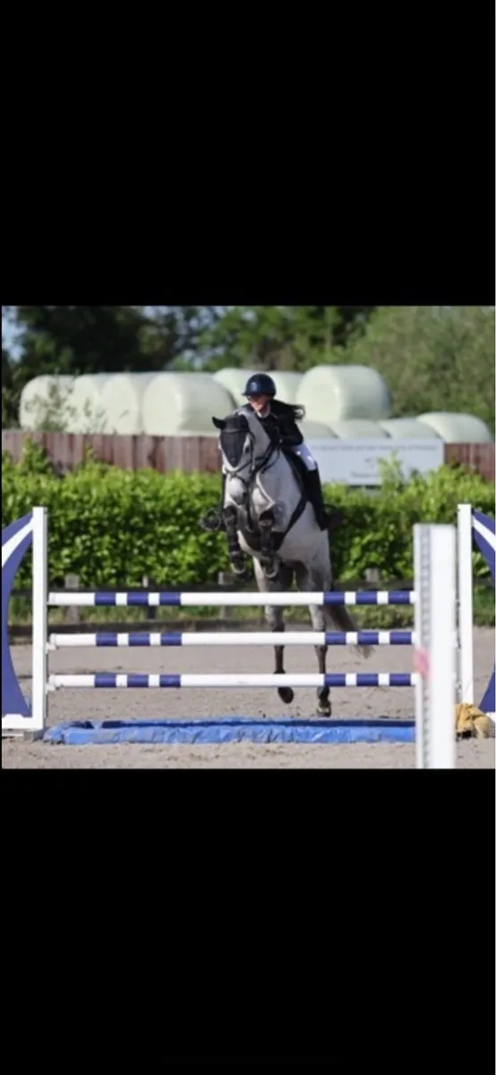 17h schoolmaster - Image 4