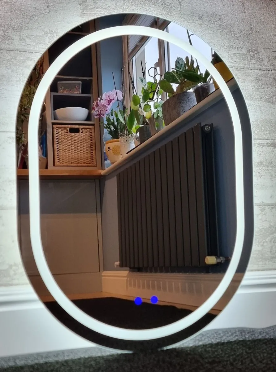 LED Bathroom Mirror Oval Shape Dual LED Fog Free - Image 4