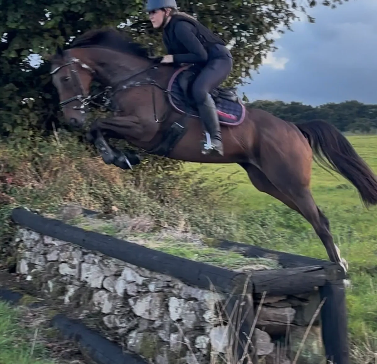 ✨ Potential all rounder for sale ✨ - Image 3