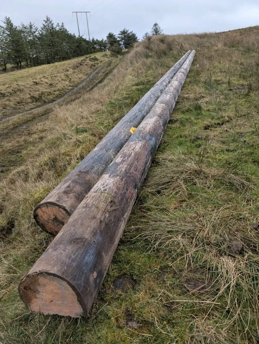 ESB Poles - Image 1