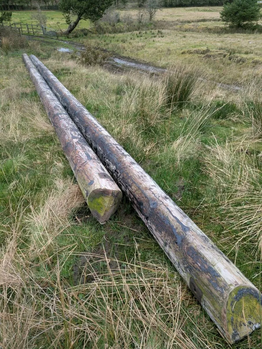 ESB Poles - Image 2